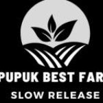 cropped-besfarm-new-logo.jpg